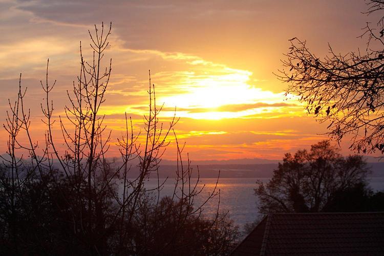 Villa Von Soden - Hotel Garni Friedrichshafen Dış mekan fotoğraf